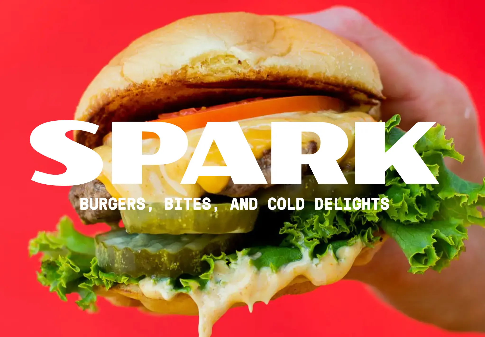 Business logo for Spark Burger